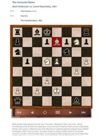 Cкриншот Immortal Game: The Greatest Chess Ever Played, изображение № 1683413 - RAWG