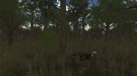 Cкриншот Wild Turkey Hunter VR, изображение № 809263 - RAWG