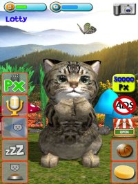 Cкриншот Talking Kittens, cats that can talk and repeat, изображение № 1743079 - RAWG
