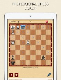 Cкриншот Mate in 2? OK! v.2, изображение № 1742444 - RAWG