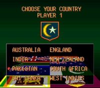 Cкриншот Super International Cricket, изображение № 762853 - RAWG