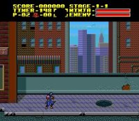 Cкриншот Ninja Gaiden (1988), изображение № 737118 - RAWG