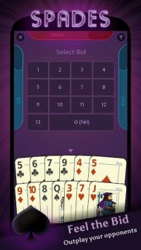 Cкриншот Spades - Offline Free Card Games, изображение № 2077829 - RAWG
