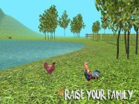 Cкриншот Rooster Simulator, изображение № 1705544 - RAWG
