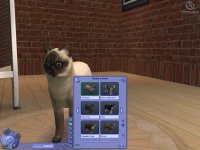 Cкриншот Sims 2: Питомцы, The, изображение № 457906 - RAWG