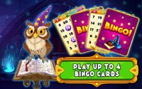 Cкриншот Wizard of Bingo, изображение № 1415800 - RAWG