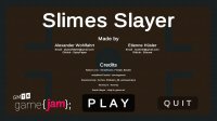 Cкриншот Slimes Slayer, изображение № 2113646 - RAWG
