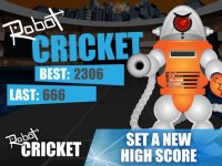 Cкриншот Robot Cricket, изображение № 1951114 - RAWG