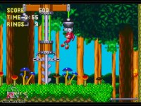 Cкриншот Sonic Mega Collection Plus, изображение № 447128 - RAWG