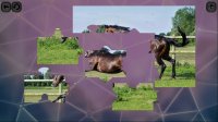 Cкриншот Puzzles for smart: Horses, изображение № 1703053 - RAWG