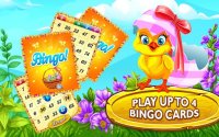 Cкриншот Easter Bunny Bingo, изображение № 1417833 - RAWG