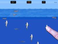 Cкриншот Squishy Sharks Attack, изображение № 1734227 - RAWG