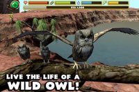 Cкриншот Owl Simulator, изображение № 1560887 - RAWG