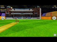 Cкриншот Cricket Run Out 3D, изображение № 1729263 - RAWG