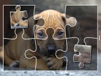 Cкриншот Puppies Jigsaw Puzzles Free Pet Games for Kids, изображение № 1492932 - RAWG