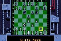 Cкриншот Dexter's Laboratory: Chess Challenge, изображение № 731564 - RAWG