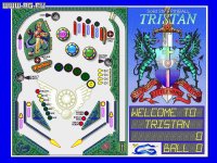 Cкриншот Tristan Solid State Pinball, изображение № 288547 - RAWG