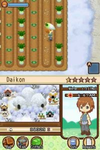 Cкриншот Harvest Moon DS: The Tale of Two Towns, изображение № 257416 - RAWG