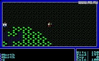 Cкриншот Ultima I: The First Age of Darkness, изображение № 325011 - RAWG