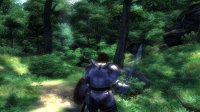 Cкриншот The Elder Scrolls IV: Oblivion, изображение № 699259 - RAWG