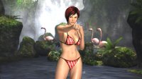 Cкриншот Dead or Alive 5, изображение № 584999 - RAWG