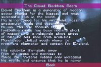 Cкриншот David Beckham Soccer, изображение № 729144 - RAWG