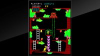 Cкриншот Arcade Archives Kangaroo, изображение № 2450726 - RAWG