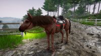 Cкриншот Horse Riding Deluxe 2, изображение № 2333967 - RAWG