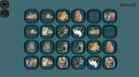 Cкриншот Animals Memory: Cats, изображение № 869010 - RAWG