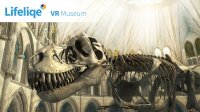 Cкриншот Lifeliqe VR Museum, изображение № 119371 - RAWG