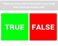 Cкриншот True or False (itch), изображение № 1260678 - RAWG