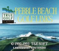 Cкриншот True Golf Classics: Pebble Beach Golf Links, изображение № 760016 - RAWG