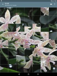 Cкриншот Jigsaw Puzzle: Flowers, изображение № 1497477 - RAWG