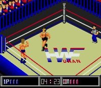 Cкриншот Thunder Pro Wrestling Retsuden, изображение № 760651 - RAWG