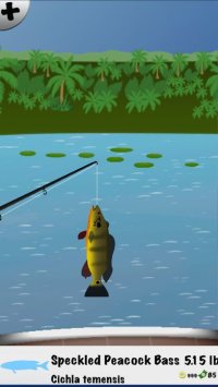 Cкриншот Summer Fishing, изображение № 1657303 - RAWG