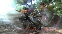 Cкриншот Ninja Gaiden II, изображение № 514279 - RAWG