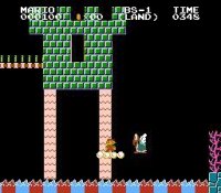 Cкриншот Super Mario Bros Lost-Land, изображение № 2105419 - RAWG
