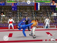 Cкриншот Kung Fu Fight: Karate Fighter, изображение № 2805475 - RAWG