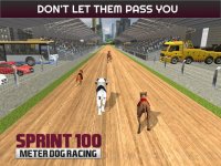 Cкриншот Sprint 100 Meter Dog Racing: Race Dogs On Tracks, изображение № 1780160 - RAWG