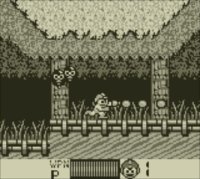 Cкриншот Mega Man II(GBA), изображение № 263211 - RAWG