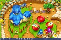 Cкриншот Pac-Man Pinball Advance, изображение № 732978 - RAWG