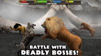 Cкриншот Ultimate Lion Simulator, изображение № 2101276 - RAWG