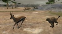 Cкриншот Wild Earth: African Safari, изображение № 787224 - RAWG