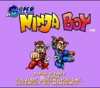 Cкриншот Super Ninja Boy, изображение № 762890 - RAWG
