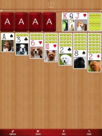 Cкриншот Solitaire 2G, изображение № 893263 - RAWG