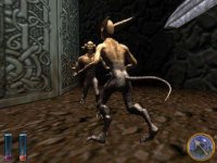 Cкриншот An Elder Scrolls Legend: Battlespire, изображение № 293466 - RAWG
