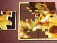 Cкриншот Jigsaw Solitaire Baby Animals, изображение № 1330760 - RAWG