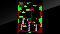 Cкриншот Arcade Archives Kangaroo, изображение № 2450724 - RAWG