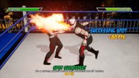 Cкриншот CHIKARA: Action Arcade Wrestling, изображение № 2130544 - RAWG