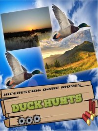 Cкриншот Duck Hunting Pro Challenge-Bird Shooting Game 3D, изображение № 1615268 - RAWG